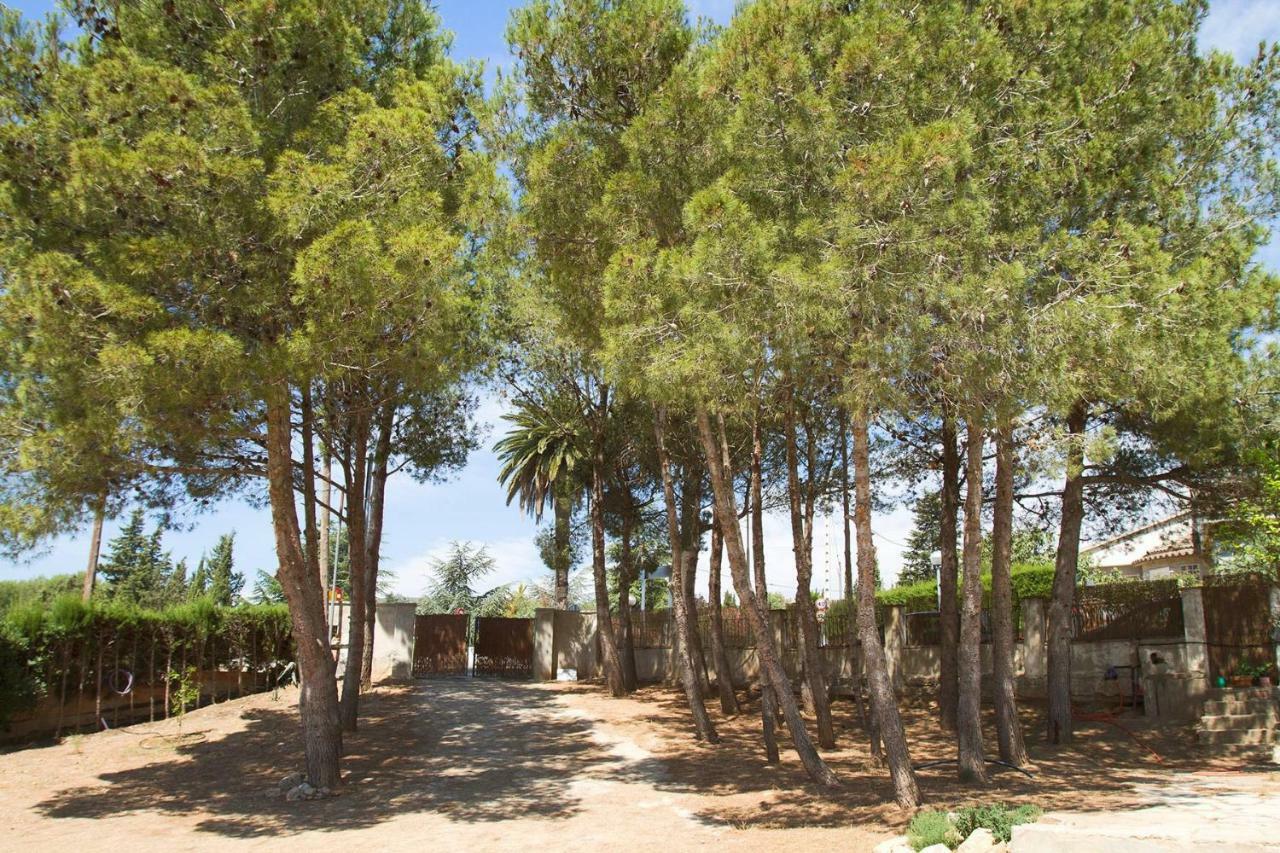 Menta House Preciosa Eco-Casa Con Gran Jardin Y Barbacoa Villa Alcover Dış mekan fotoğraf
